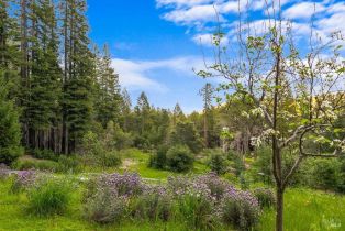 Single Family Residence, Cloud Ridge road, Healdsburg, CA 95448 - 41