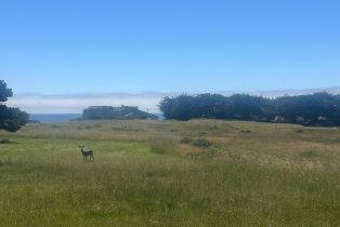 Single Family Residence, Sea Stack none, Sea Ranch, CA 95497 - 5