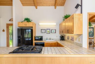 Single Family Residence, Sea Stack none, Sea Ranch, CA 95497 - 22