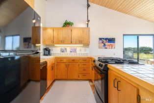 Single Family Residence, Sea Stack none, Sea Ranch, CA 95497 - 23