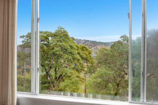 Single Family Residence,  Blackwood court, Napa, CA 94558 - 35