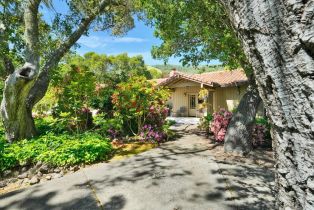 Single Family Residence, Bennett Valley road, Santa Rosa, CA 95404 - 24