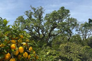 Single Family Residence, Bennett Valley road, Santa Rosa, CA 95404 - 37