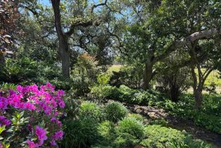 Single Family Residence, Bennett Valley road, Santa Rosa, CA 95404 - 7