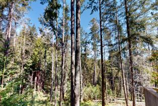 Single Family Residence, River Beach road, Sea Ranch, CA 95497 - 9