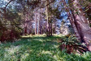 Single Family Residence, River Beach road, Sea Ranch, CA 95497 - 7