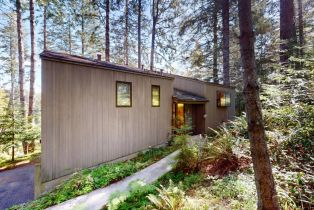 Single Family Residence, River Beach road, Sea Ranch, CA 95497 - 3