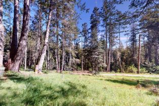 Single Family Residence, River Beach road, Sea Ranch, CA 95497 - 5