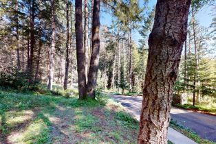 Single Family Residence, River Beach road, Sea Ranch, CA 95497 - 4