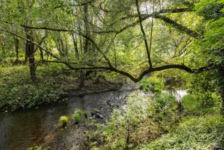 Single Family Residence, Warm Springs road, Glen Ellen, CA 95442 - 36