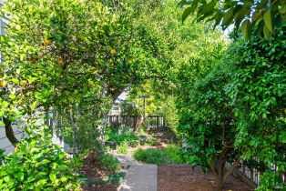 Single Family Residence,  High St street, Sebastopol, CA 95472 - 36