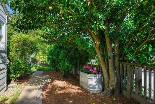 Single Family Residence,  High St street, Sebastopol, CA 95472 - 37