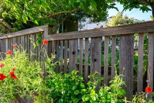 Single Family Residence,  High St street, Sebastopol, CA 95472 - 38
