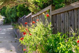 Single Family Residence,  High St street, Sebastopol, CA 95472 - 39