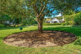 Single Family Residence,  Silverado trail, Napa, CA 94558 - 65
