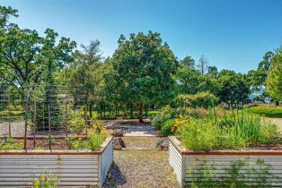 Single Family Residence,  Silverado trail, Napa, CA 94558 - 63