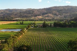 Single Family Residence,  Silverado trail, Calistoga, CA 94515 - 75