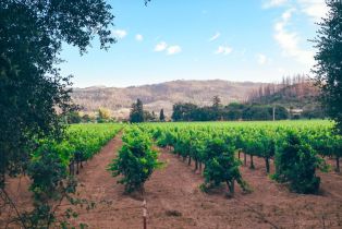 Single Family Residence,  Silverado trail, Calistoga, CA 94515 - 64