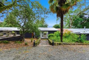 Single Family Residence,  Silverado trail, Calistoga, CA 94515 - 42