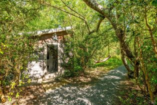 Single Family Residence, Bloomfield road, Petaluma, CA 94952 - 78