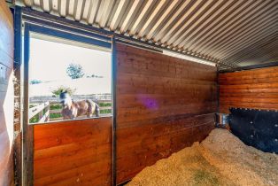 Single Family Residence, Bloomfield road, Petaluma, CA 94952 - 19