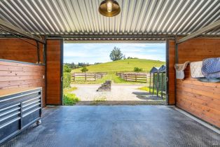 Single Family Residence, Bloomfield road, Petaluma, CA 94952 - 15