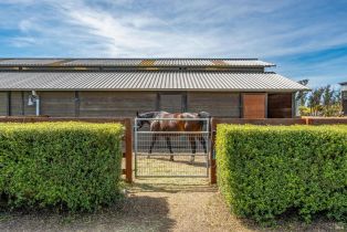 Single Family Residence, Bloomfield road, Petaluma, CA 94952 - 25