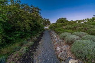 Single Family Residence, Bloomfield road, Petaluma, CA 94952 - 84