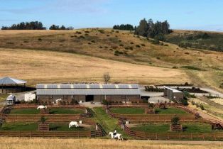 Single Family Residence, Bloomfield road, Petaluma, CA 94952 - 9