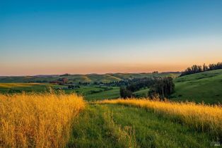 Single Family Residence, Bloomfield road, Petaluma, CA 94952 - 88