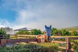 Single Family Residence, Bloomfield road, Petaluma, CA 94952 - 26