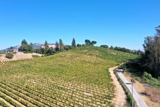 Single Family Residence, Grange road, Santa Rosa, CA 95404 - 50