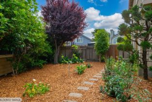 Single Family Residence,  Riesling court, Petaluma, CA 94954 - 5