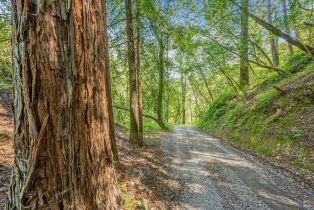 Single Family Residence, Dry Creek road, Healdsburg, CA 95448 - 45