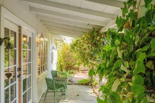 Single Family Residence, Dry Creek road, Healdsburg, CA 95448 - 5