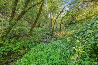 Single Family Residence, Dry Creek road, Healdsburg, CA 95448 - 32