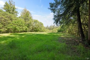 Single Family Residence, Dry Creek road, Healdsburg, CA 95448 - 44