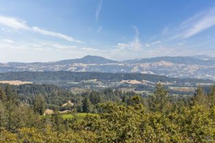 Single Family Residence, Dry Creek road, Healdsburg, CA 95448 - 49