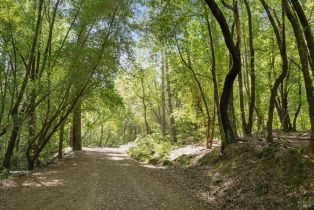 Single Family Residence, Dry Creek road, Healdsburg, CA 95448 - 46