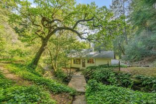 Single Family Residence, Dry Creek road, Healdsburg, CA 95448 - 30