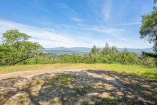 Single Family Residence, Dry Creek road, Healdsburg, CA 95448 - 48