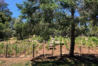 Single Family Residence,  Quail court, Santa Rosa, CA 95404 - 45