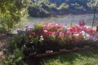 Single Family Residence,  Drake road, Russian River, CA 95446 - 8
