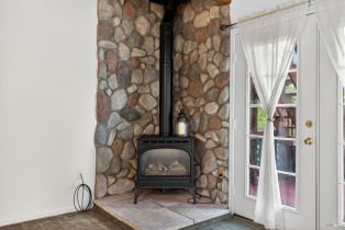 Single Family Residence,  Drake road, Russian River, CA 95446 - 48