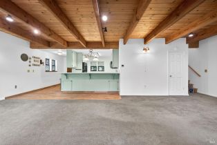Single Family Residence,  Drake road, Russian River, CA 95446 - 46