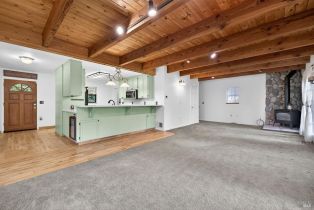 Single Family Residence,  Drake road, Russian River, CA 95446 - 45