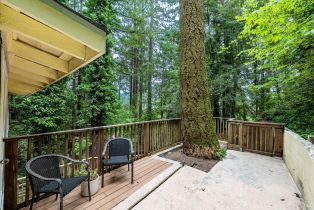 Residential Income,  Old Monte Rio road, Russian River, CA 95446 - 47