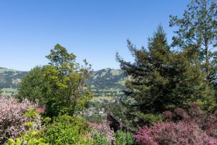 Single Family Residence,  Rocky Knoll way, Santa Rosa, CA 95404 - 50