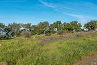 Residential Lot,  Calistoga road, Santa Rosa, CA 95404 - 5