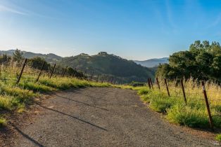 Residential Lot,  Calistoga road, Santa Rosa, CA 95404 - 4